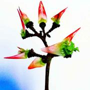 hanlu645的个人资料头像