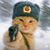 有点好看的陈贝尔头像