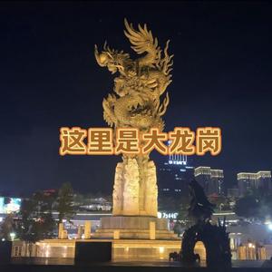 这里是大龙岗头像