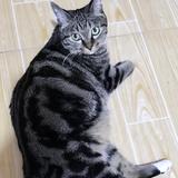 Z林夕5O5g头像