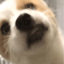 用户1090571849459的个人资料头像