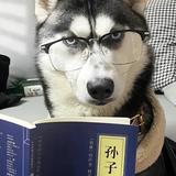 谦虚6505头像