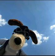 用户4884409850309的个人资料头像