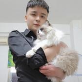 随性自由的扑克Sj0头像