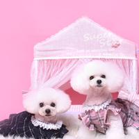 自由的燕子1158头像