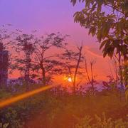 一城烟雨226的个人资料头像