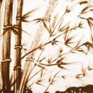 龚明的个人资料头像