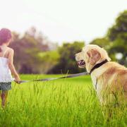 followfork的个人资料头像