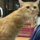 用户4948249611601头像