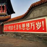 小志哥aa头像