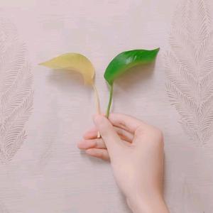 美美故事正能量头像