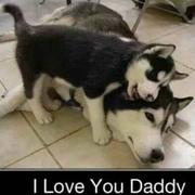 人甲的个人资料头像