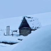 工地少年与砖221的个人资料头像