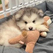 Christine_Li的个人资料头像