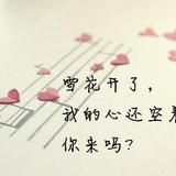 凭栏赏月947头像