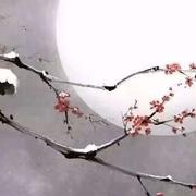 VanceLLF的个人资料头像