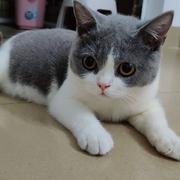用户3405131923741的个人资料头像