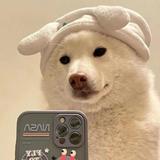 用户4566838516104头像