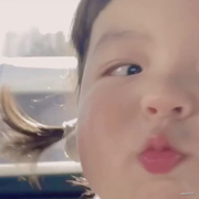 h1的个人资料头像