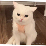 别离与你的个人资料头像