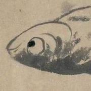 P柴喂马的个人资料头像