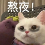 大丨阳的个人资料头像