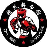 绵阳市经开区精武搏击头像