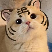 kenn君的个人资料头像