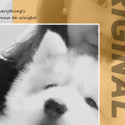 kk_mi的个人资料头像