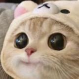 用户9662350414373头像