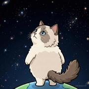 绝对乐控的个人资料头像