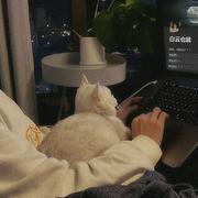 鞍马稀的个人资料头像