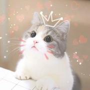 丁长多的个人资料头像