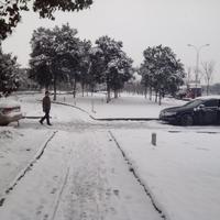 爱思考虎林4k1头像