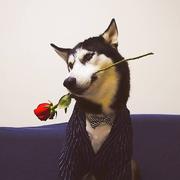 名字全被占用的个人资料头像