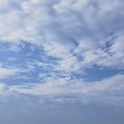 年年有Yu的个人资料头像