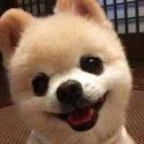 风继续吹7422头像