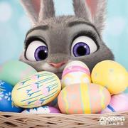 yangxue1004的个人资料头像