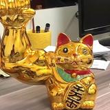 用户6239414547621头像