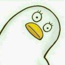 楼主就是我的个人资料头像