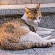 AOKL的个人资料头像