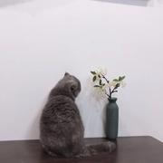 00rr的个人资料头像