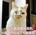 番茄93026519091头像