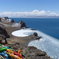 西域沙之舟头像