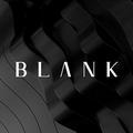 BlankVision工作室头像