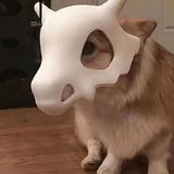 乐天派橙子Aqx头像
