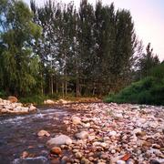 王战英的个人资料头像