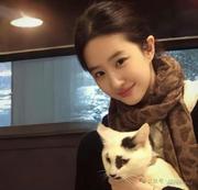 Z姐哈哈哈的个人资料头像