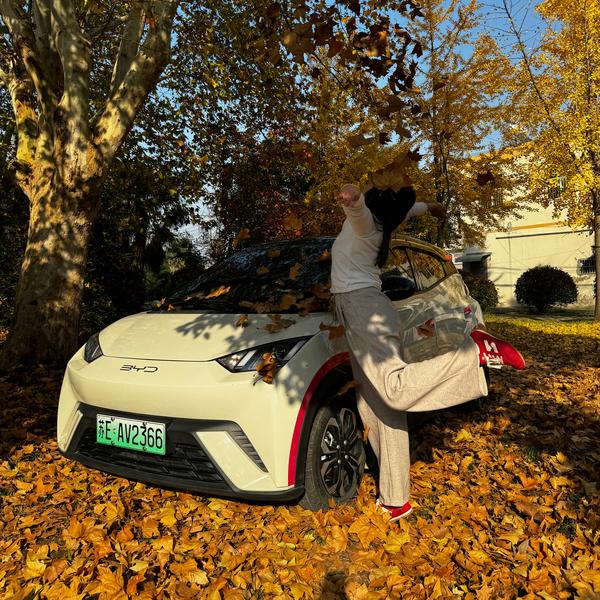 阿莉的海鸥头像