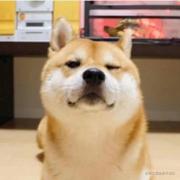 boys的个人资料头像